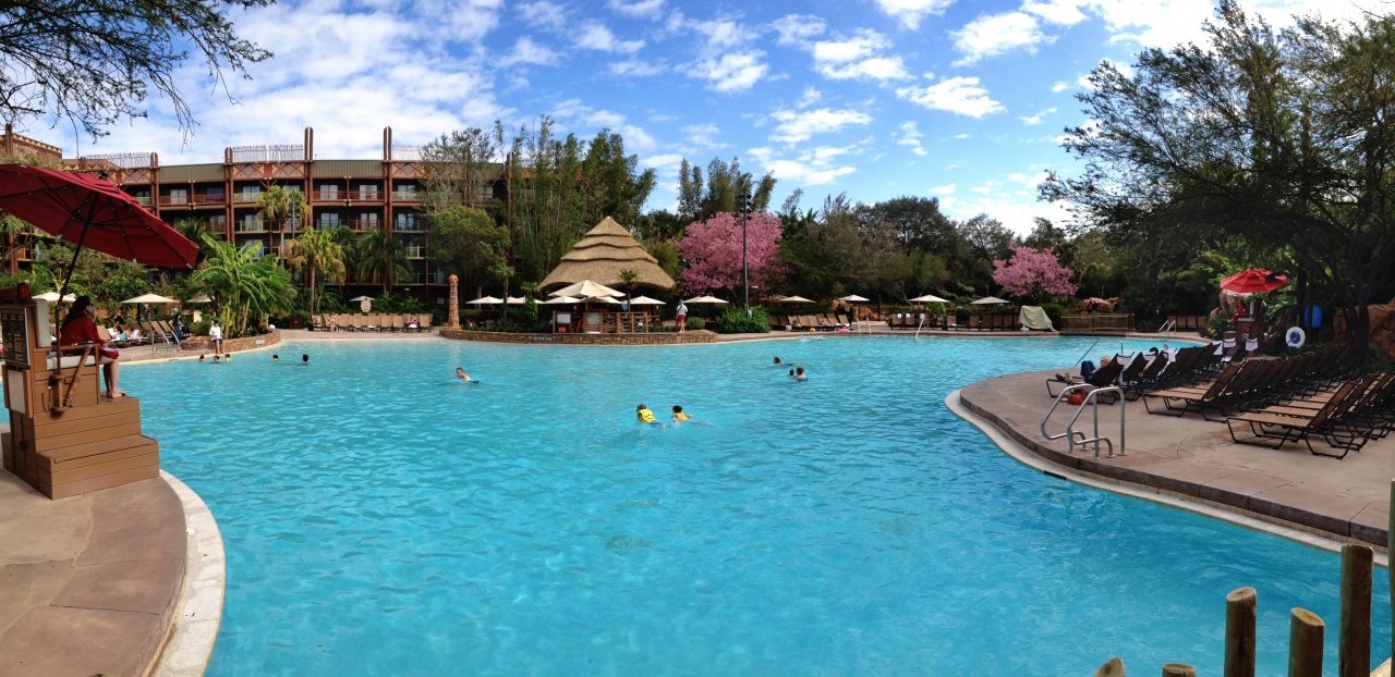 Pools at Disney's Animal Kingdom Lodge