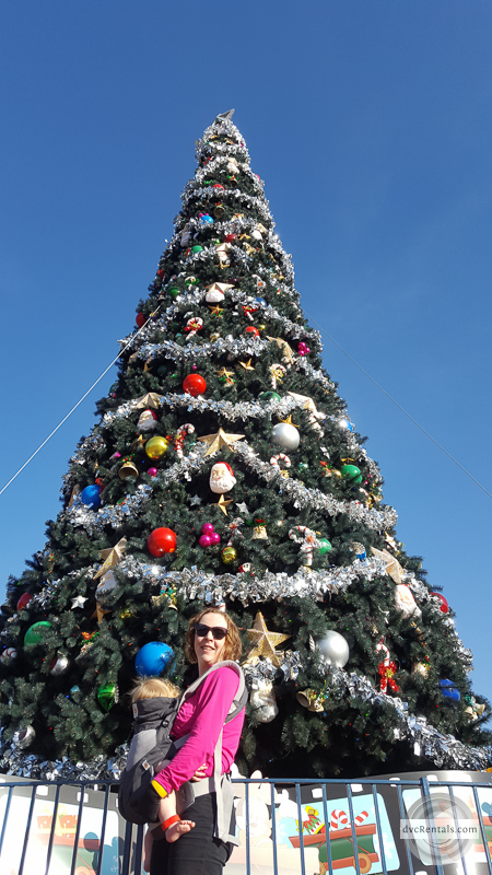 Holiday Offerings At Walt Disney World