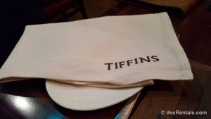 Cloth Napkin Tiffins