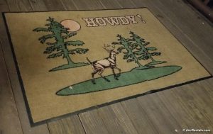 Hoop-Dee-Doo Howdy Carpet