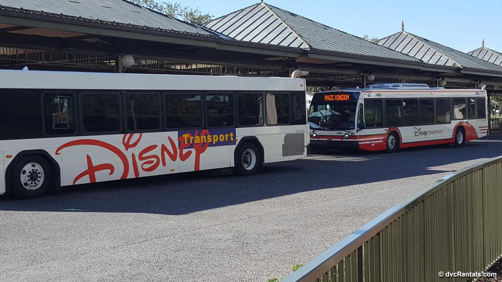 Disney Buses