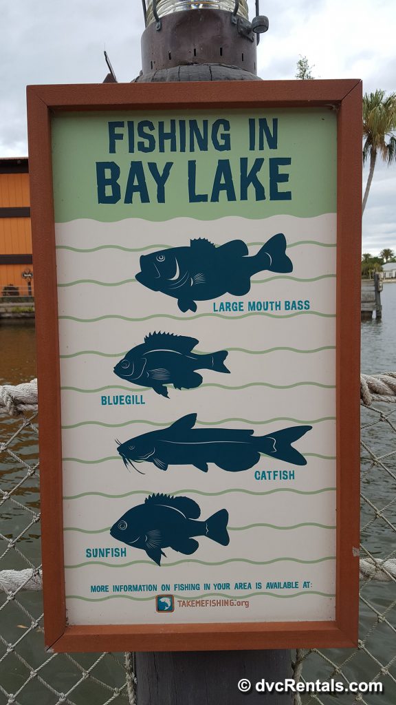 Fish Information Board Bay Lake