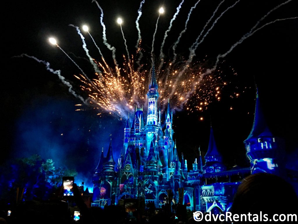 Cinderella’s Castle with Fireworks in the background
