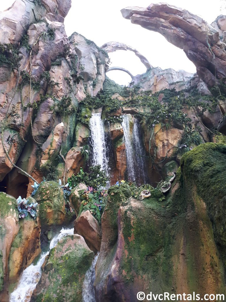 Additional image of Floating Mountains and waterfall within Pandora at Disney’s Animal Kingdom