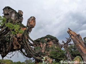 Floating Mountains within Pandora at Disney’s Animal Kingdom