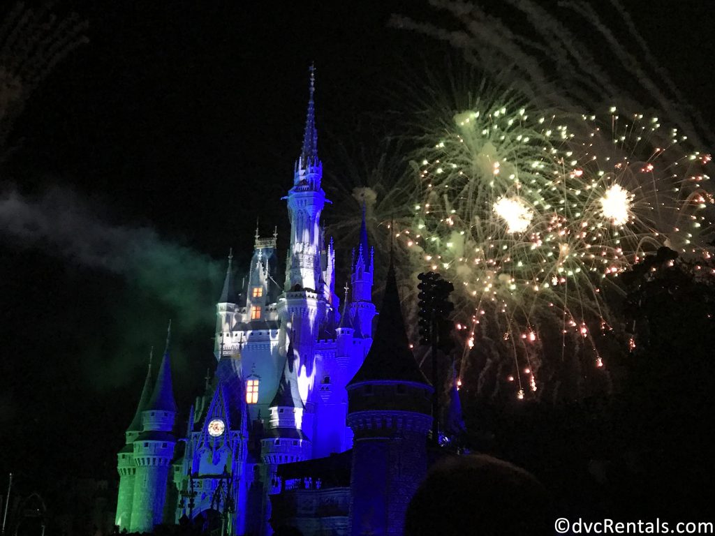 Fireworks standing in front of Cinderella’s Castle