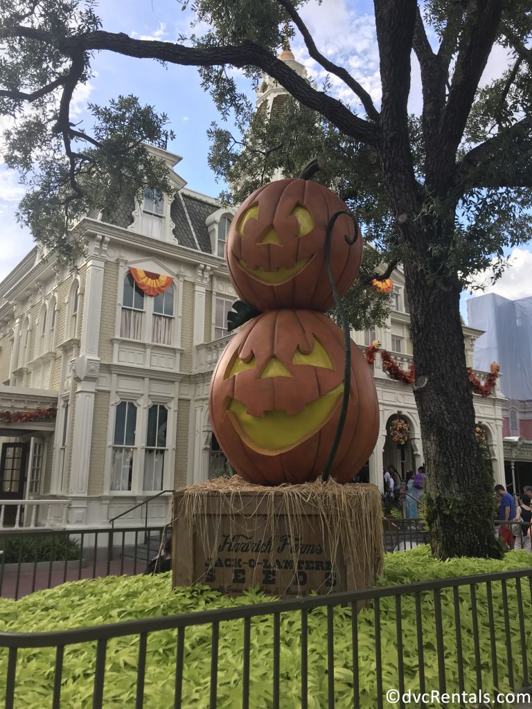 pumpkins on Main Street U.S.A.