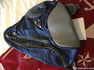DCL backpack