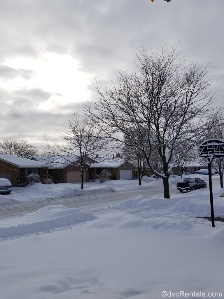 snow covered neighborhood