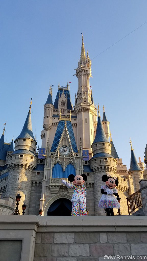  Mickey and Minnie in front of Cinderella Castle