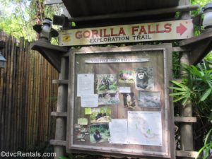 sign for the Gorilla Fall Expedition