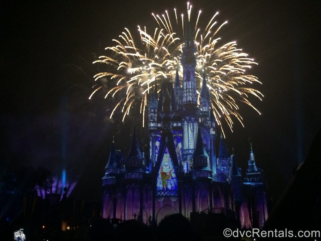 Happily Ever After Fireworks from the Magic Kingdom