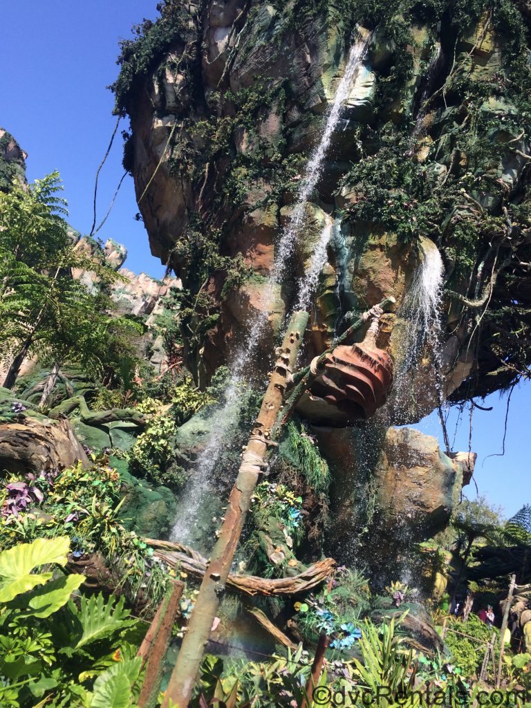Floating mountains in Pandora at Disney’s Animal Kingdom