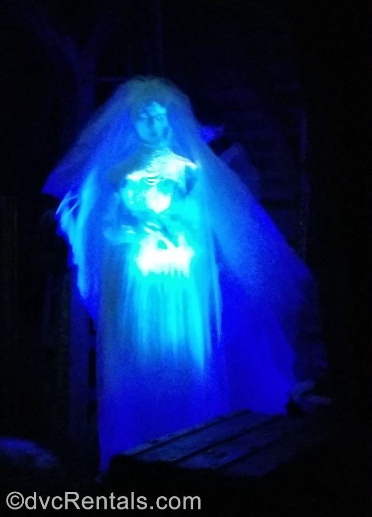 Bride in the Haunted Mansion