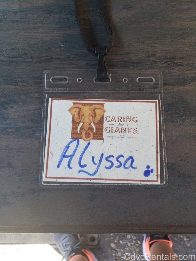 Name badge for the Caring for Elephants Tour