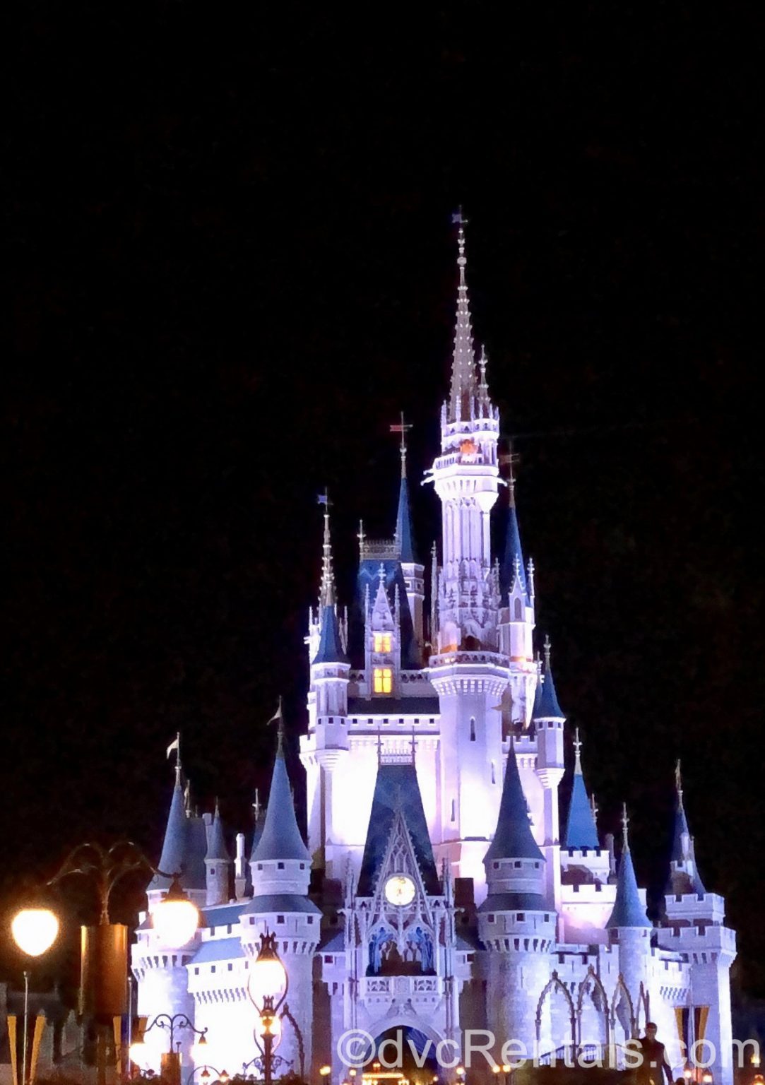 Magic by Moonlight – Disney After Hours!