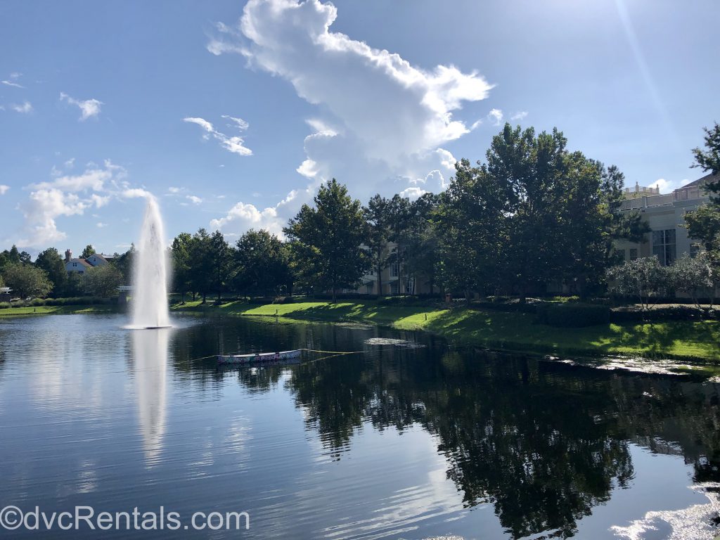 Landscape view at Disney’s Saratoga Springs Resort & Spa