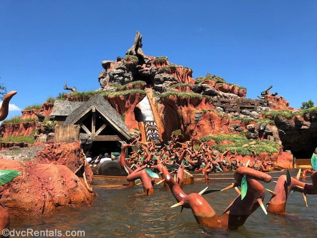 Splash Mountain at Disney’s Magic Kingdom