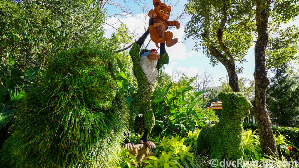 Lion King Topiary at the Epcot International Flower and Garden Festival