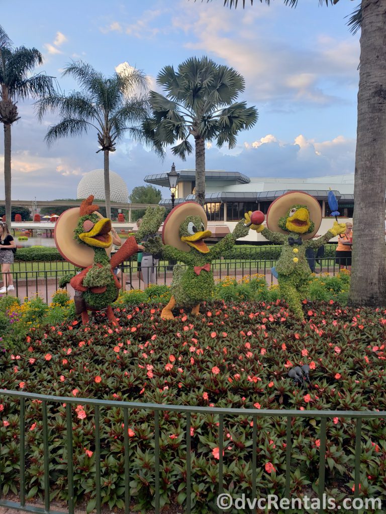 The Three Caballeros’ topiaries at the Epcot International Flower and Garden Festival