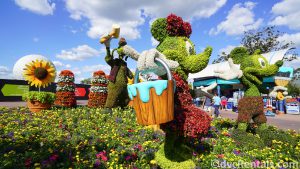 Mickey, Minnie and Goofy topiaries at the Epcot International Flower and Garden Festival