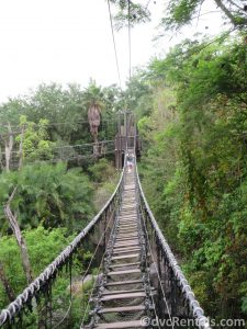 Rope bridge in the Wild Africa Trek at Disney’s Animal Kingdom