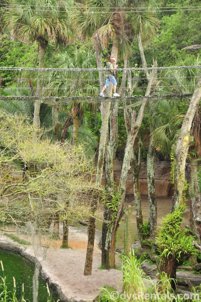 Marilyn crossing the rope bridge at the Wild Africa Trek