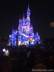 Happily Ever After Fireworks at the Magic Kingdom