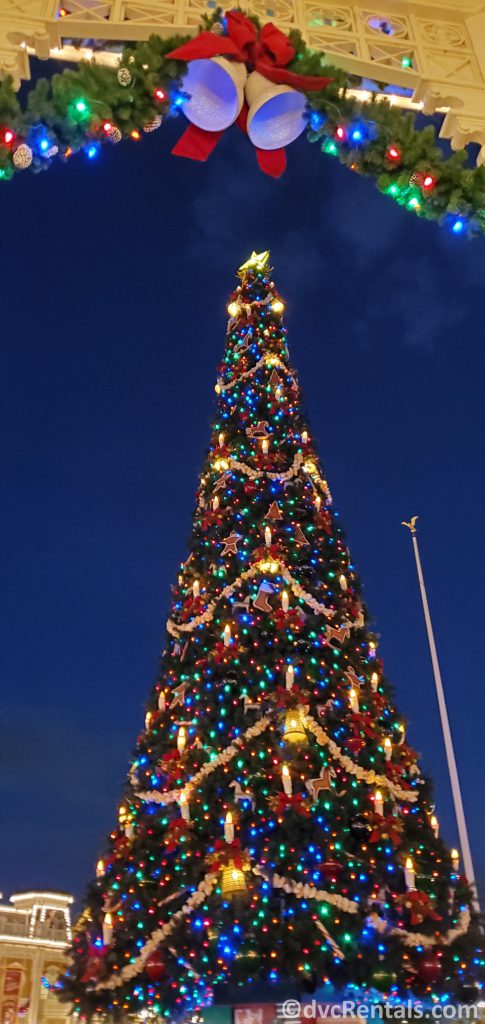 Christmas tree at Disney’s Magic Kingdom