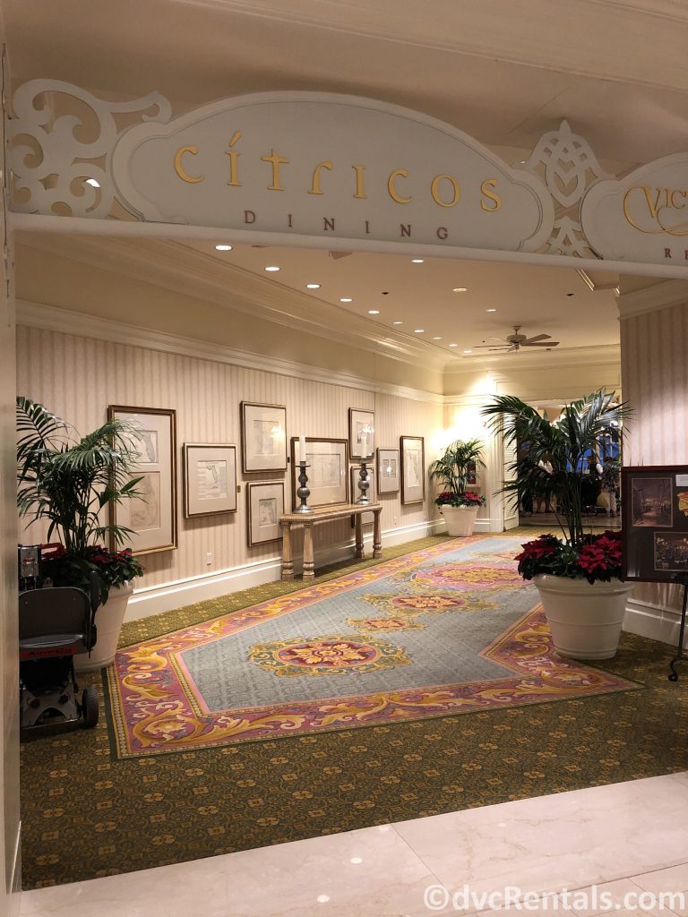 Citricos restaurant at Disney’s Grand Floridian