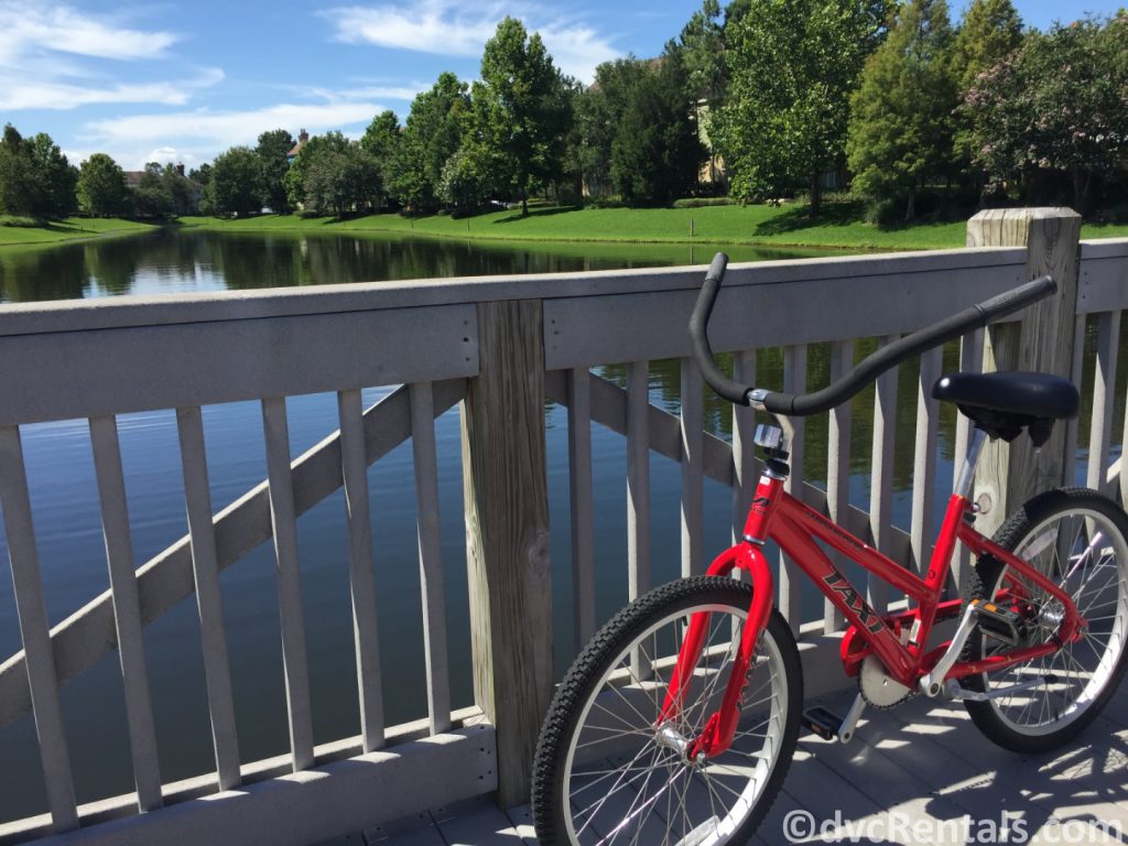 bike with Disney Springs in the background
