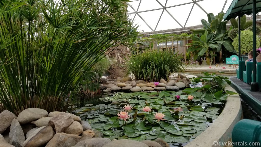 Greenhouses in the Living with the Land attraction