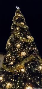 Christmas tree at Disney Springs