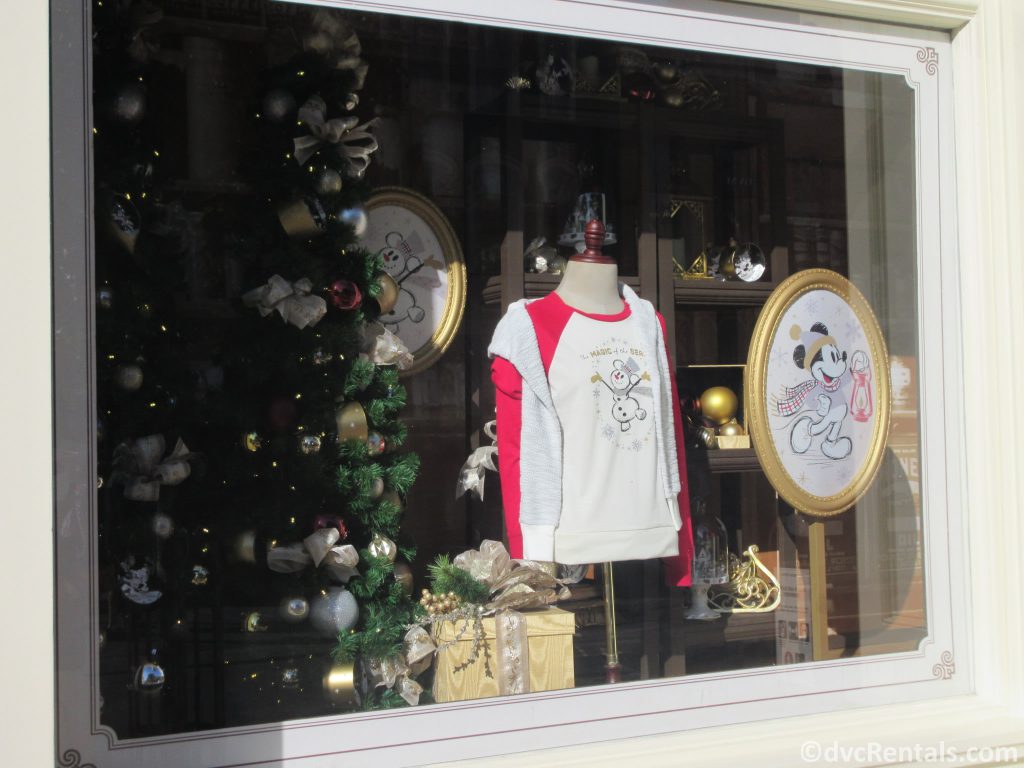 Window displays that are holiday themed