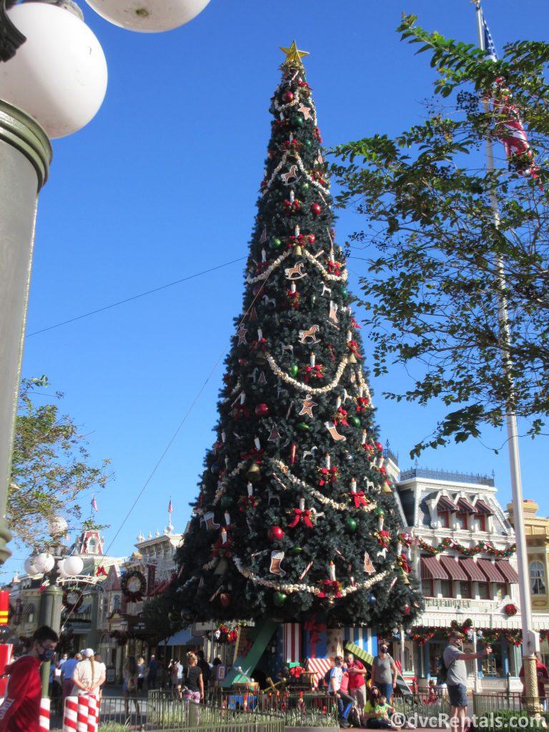 Christmas tree at the Magic Kingdom