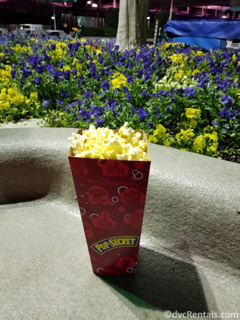 Popcorn at Walt Disney world