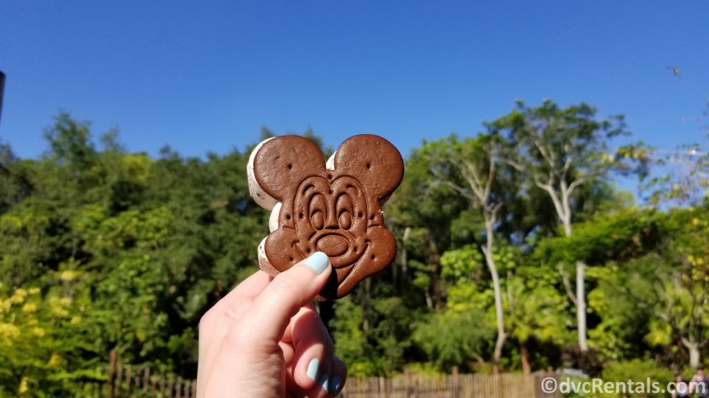 Mickey Mouse Ice Cream Sandwich