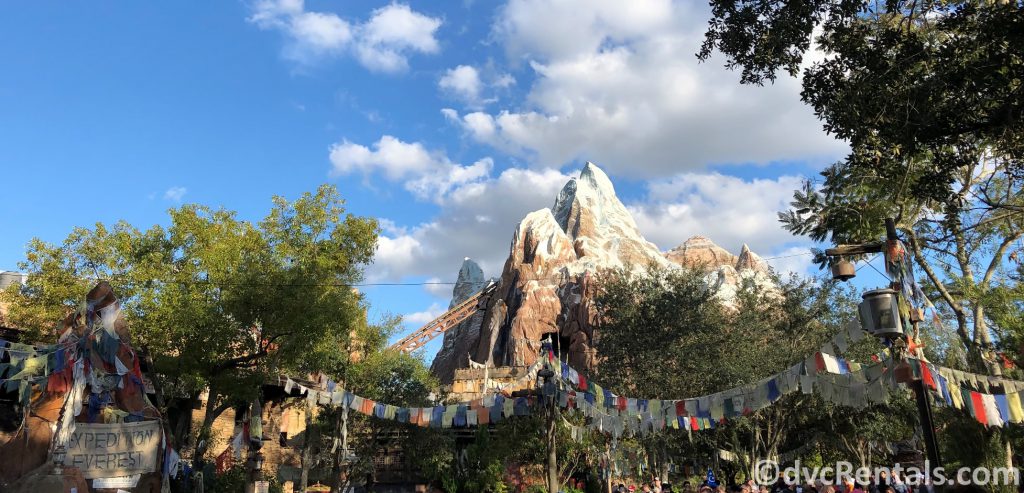 Expedition Everest at Animal Kingdom