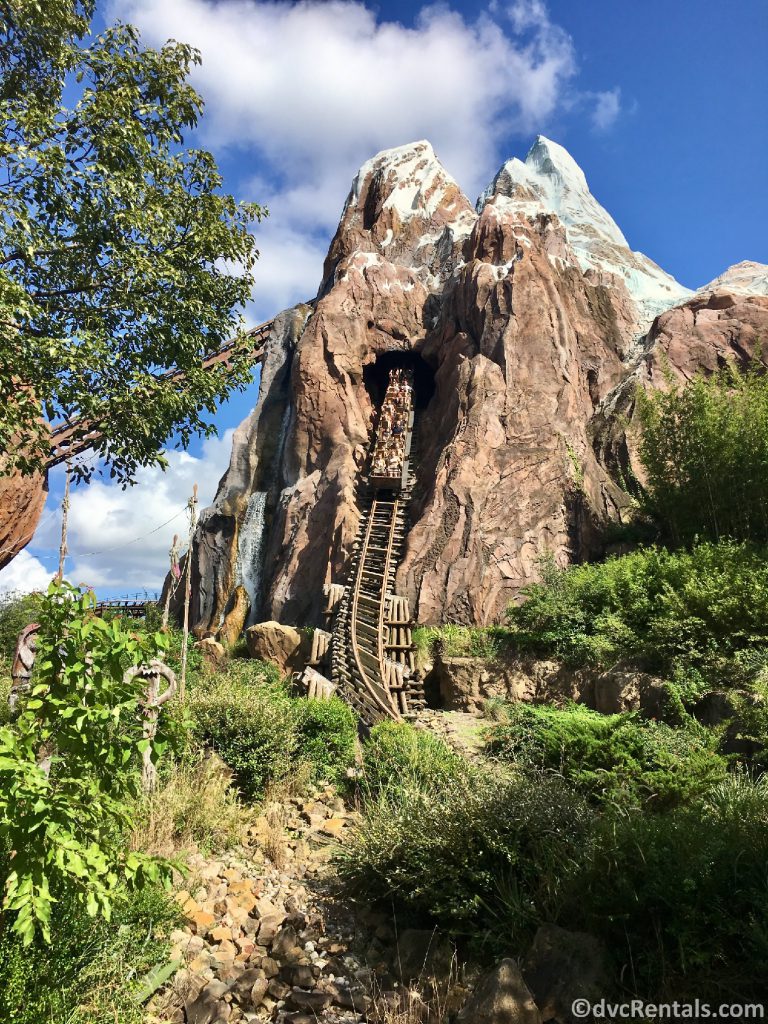 Expedition Everest at Animal Kingdom