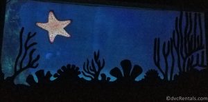 Star fish at the end of the ride