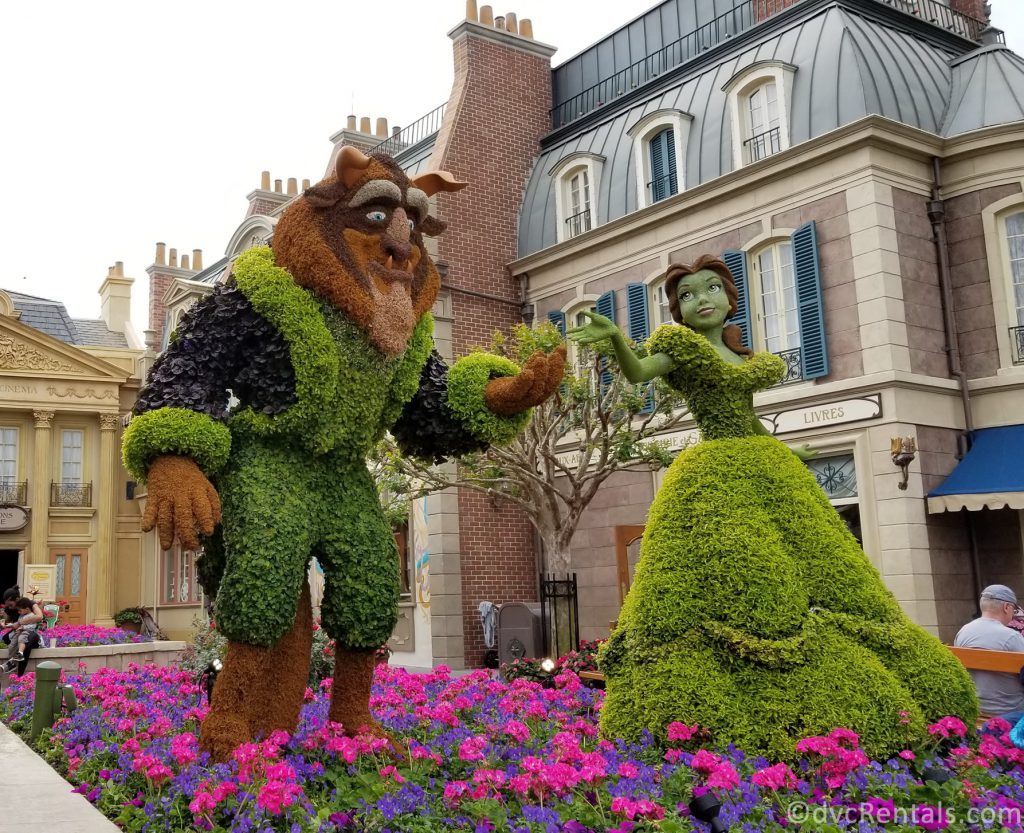Beauty and the Beast topiary in the France pavilion at Epcot