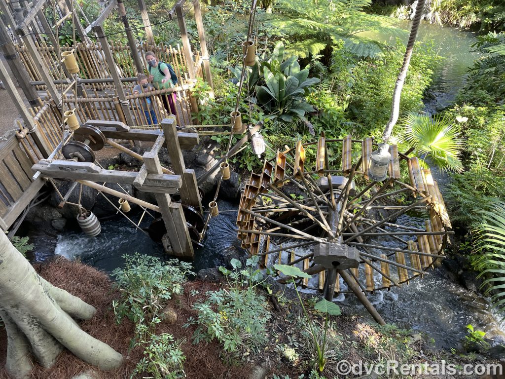 water system at the Swiss Family Treehouse