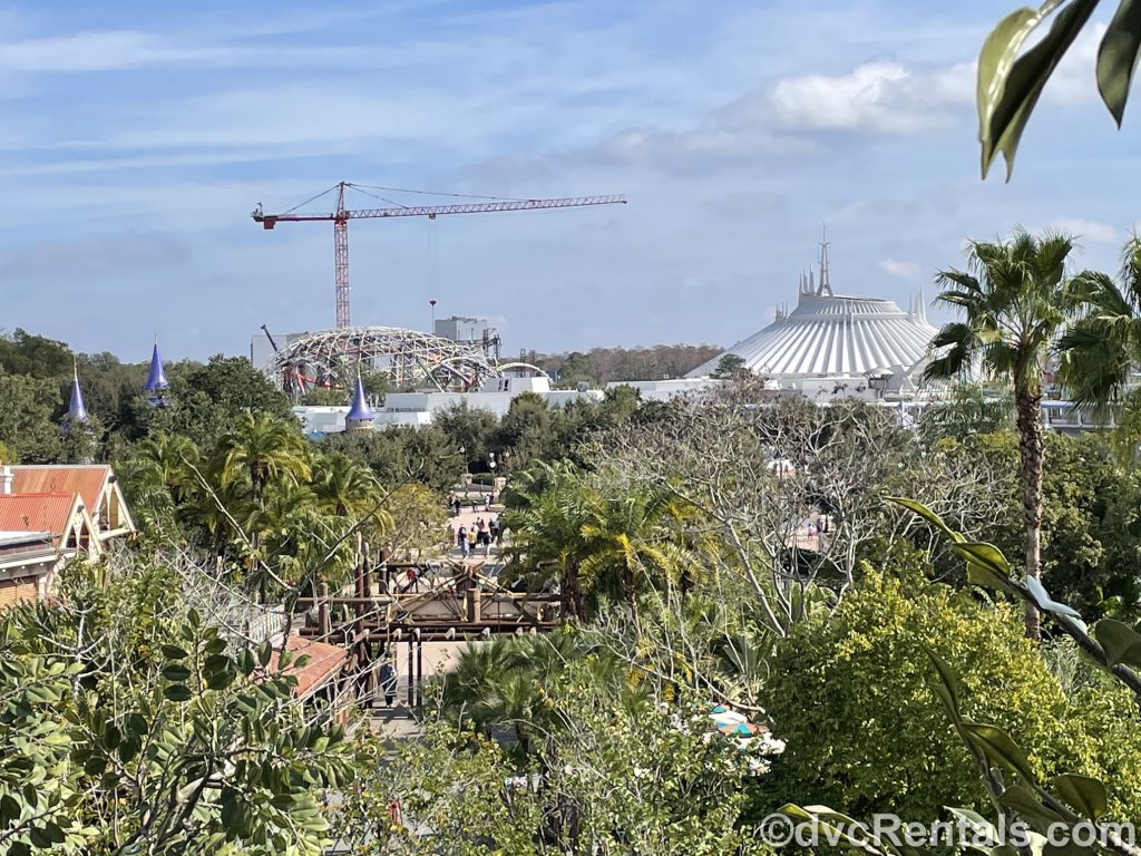 Views form the top of the Swiss Family Treehouse