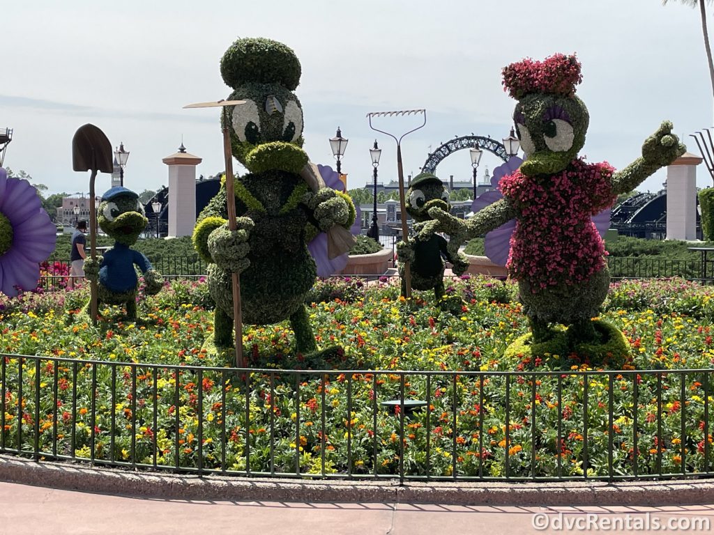 Donald and Daisy topiaries from the Taste of Epcot International Flower & Garden Festival