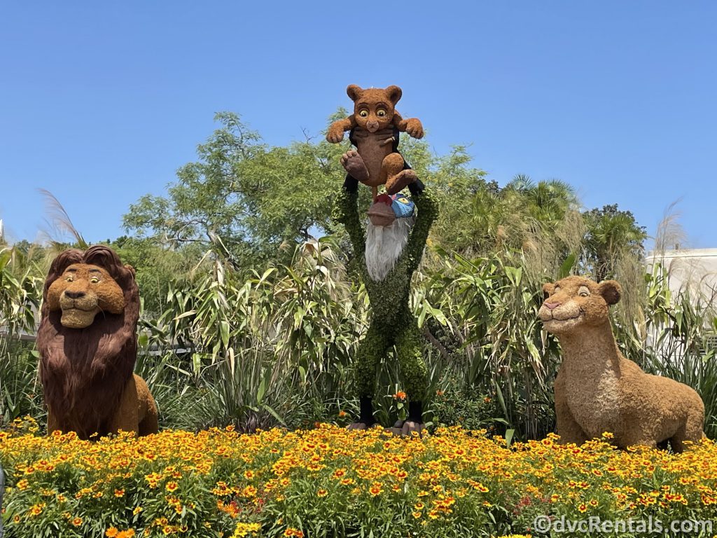 The Lion King Topiaries