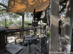 Library in the Swiss Family Treehouse