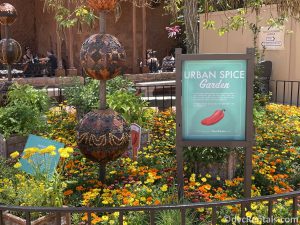 Spice garden at the Taste of Epcot International Flower & Garden Festival