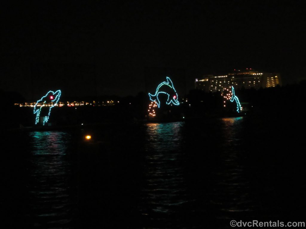 Dolphins from the Electrical Water Pageant