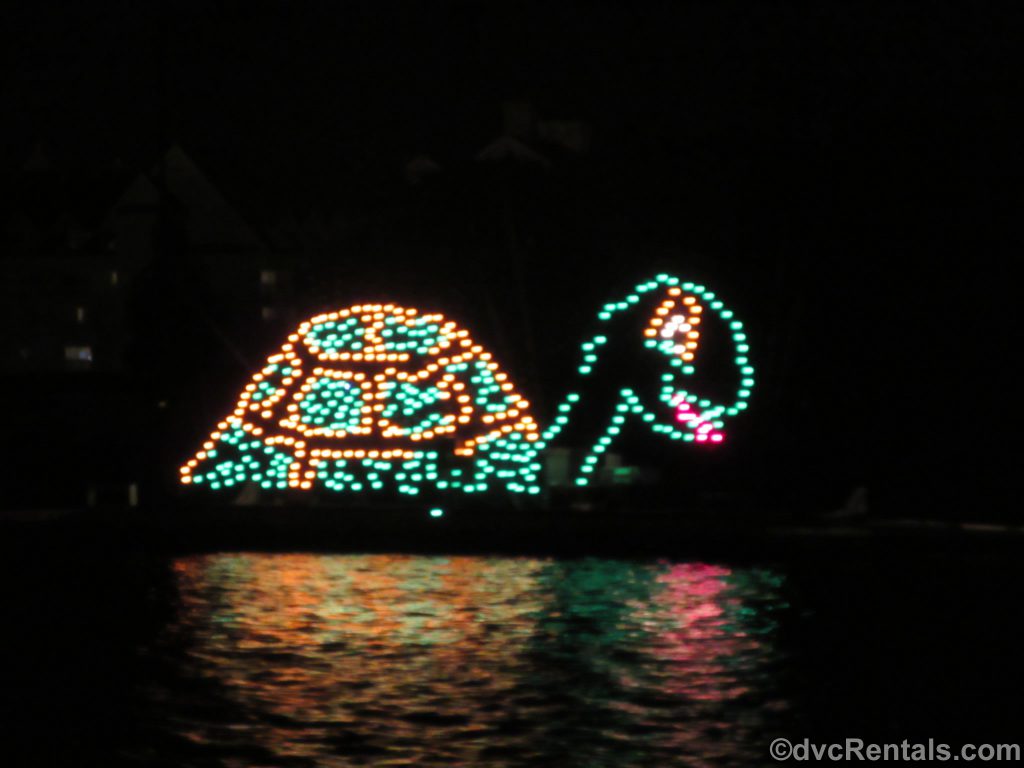 Turtle from the Electrical Water Pageant