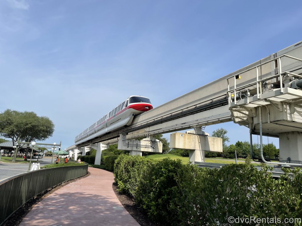 Walking path to the Magic Kingdom